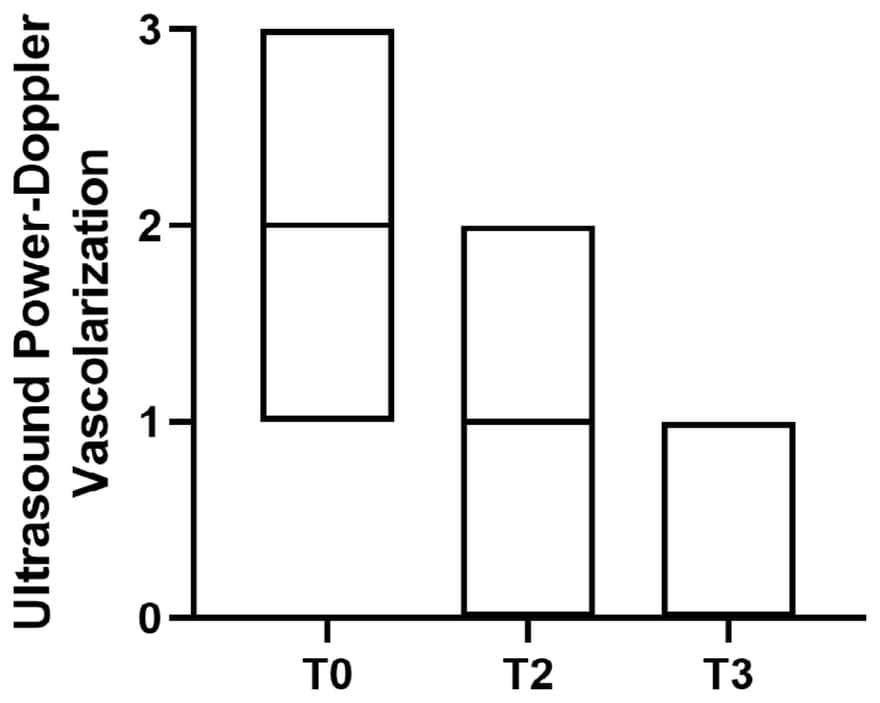 Stĺpcový graf skóre vaskularizácie od minima po maximum podľa Power-Doppler ultrazvuku v časoch T0, T2 a T3.