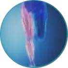 Sval